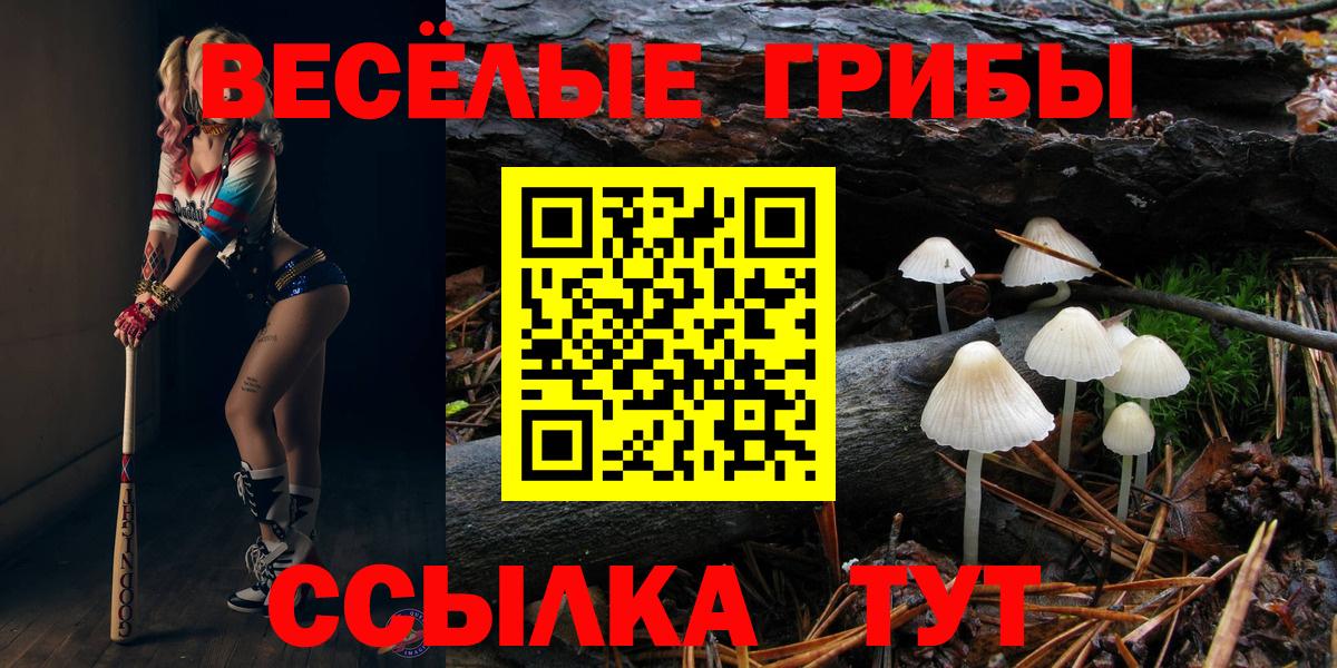 Новоуральск  Галлюциногенные грибы GOLDEN TEACHER  Вход с VPN 